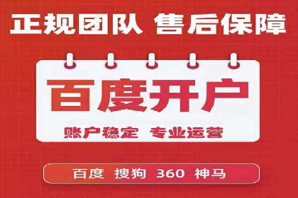 SEM精准广告投放的五大成功案例